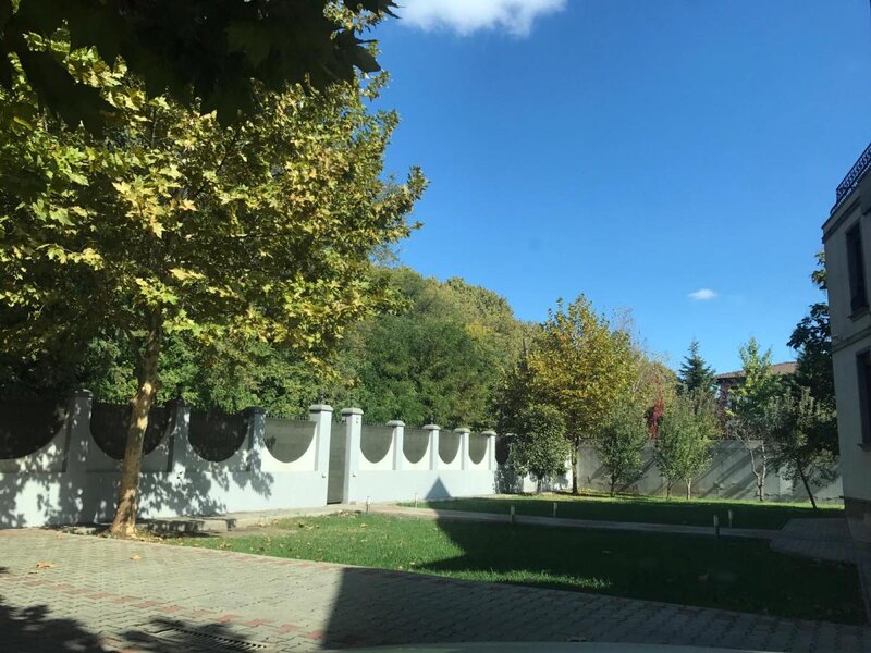 Infirmiera pentru centru varstnici, licentiat